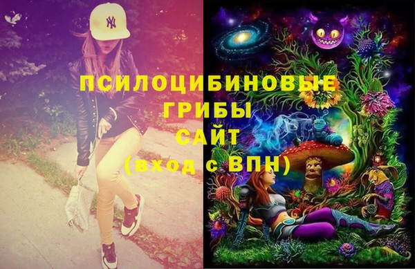 мяу мяу мука Кинешма
