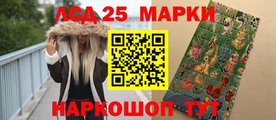 spice Гай