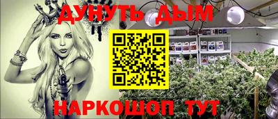 не бодяженный Гатчина