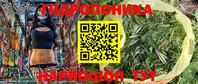 не бодяженный Гатчина