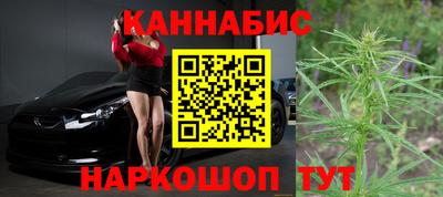 spice Гай