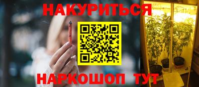 spice Гай