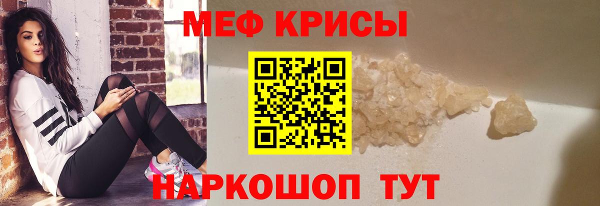 МЕФ  Камышин