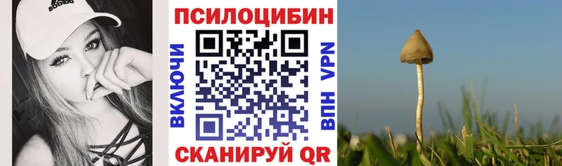 Галлюциногенные грибы Psilocybine cubensis  что такое наркотик  Камышин 
