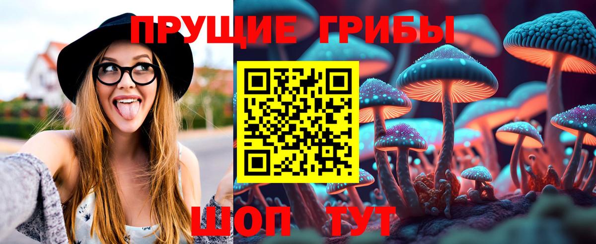 Камышин  Псилоцибиновые грибы ЛСД  Вход с VPN 