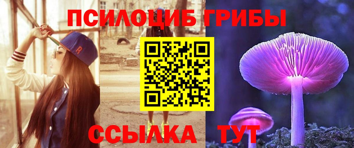 Псилоцибиновые грибы MAGIC MUSHROOMS  Псилоцибиновые грибы MAGIC MUSHROOMS  Камышин 