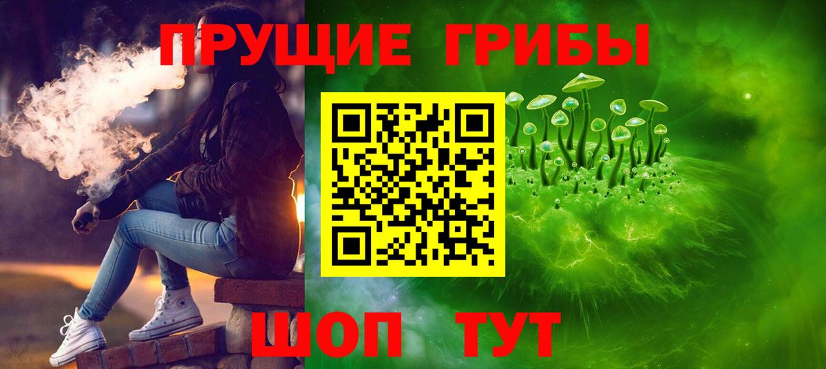 Галлюциногенные грибы мухоморы Камышин