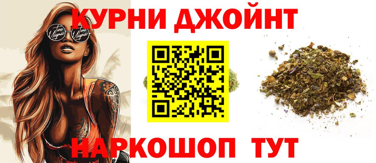 Каннабис сатива Камышин