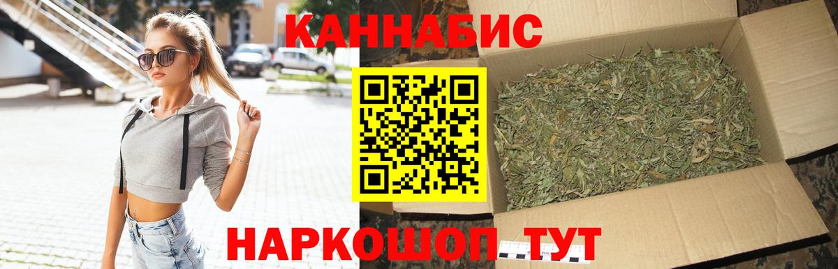 Камышин  Канабис сатива  Вход с VPN  Конопля Bruce Banner  Канабис MAZAR 